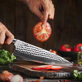 DSKK 30R: High-End Kitchen Chef Knife with Natural Rosewood Handle