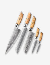 Blaze Series 5pcs Damascus Steel Knife Set With Olive Wood Handle