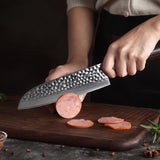 BlackHawk Series 7 Inch Damascus Steel Santoku Knife