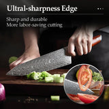 Blade Born Series 2pcs Damascus Steel Damascus Knife Set with Triple Rivets Handle