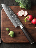 B1Z 7 inch 67 Layers Damascus steel santoku Knife having Nature ebony wood Used to Cut Vegetables, Meat, and Fish