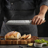 Black Wolf Series 5pcs Damascus Steel Chef, Bread,Santoku,Utility And Paring Knife