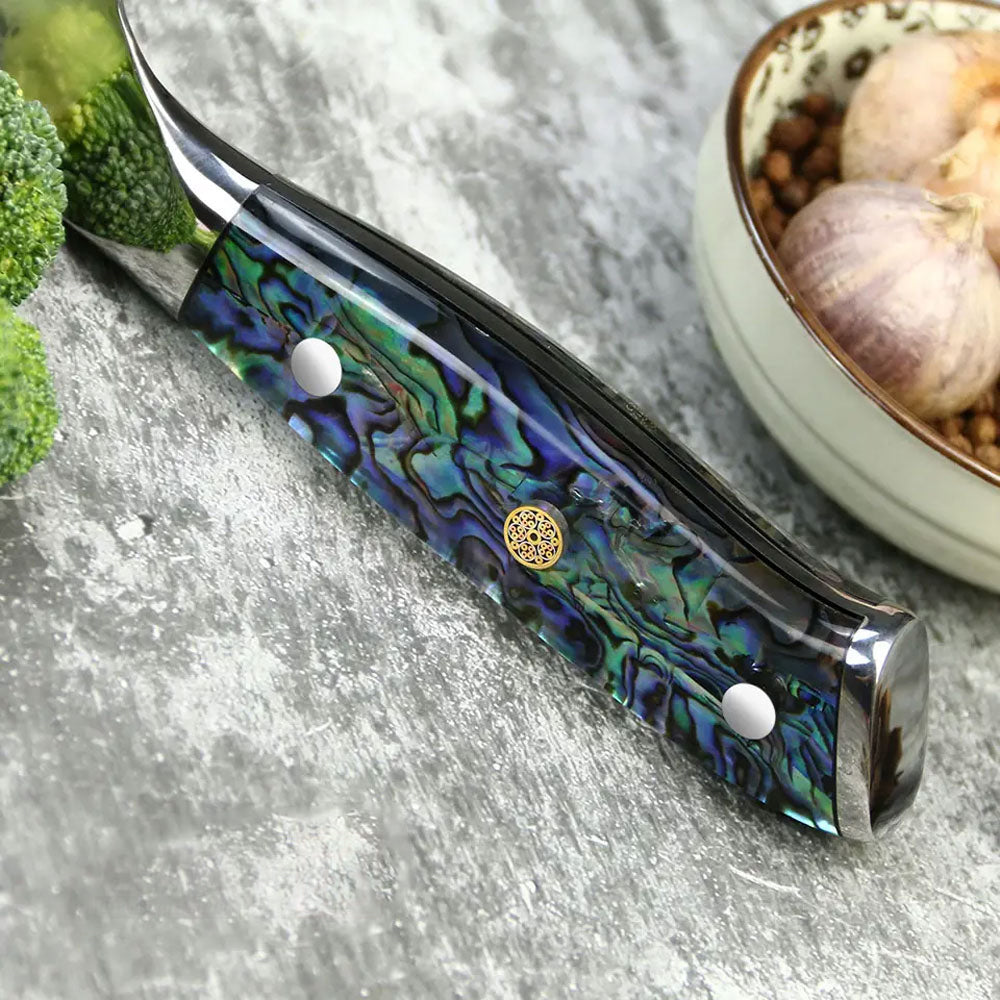 Professional Damascus Vg 10 Steel Core 67 Layers Stainless Steel Abalone Handle