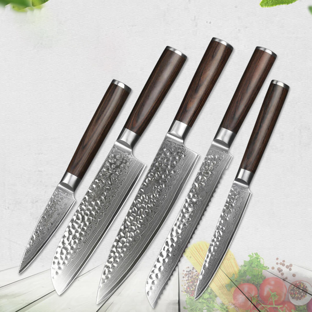 B1Z 5 Pcs Knife Set, 67 Layers Damascus Steel Having Nature Ebony Wood Handle