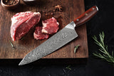 DSKK B27 67 Layers Damascus Steel Chef Knife with Rosewood Handle