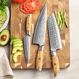 Blaze Series 3pcs Damascus Steel Knife Set Having Olive Wood Handle