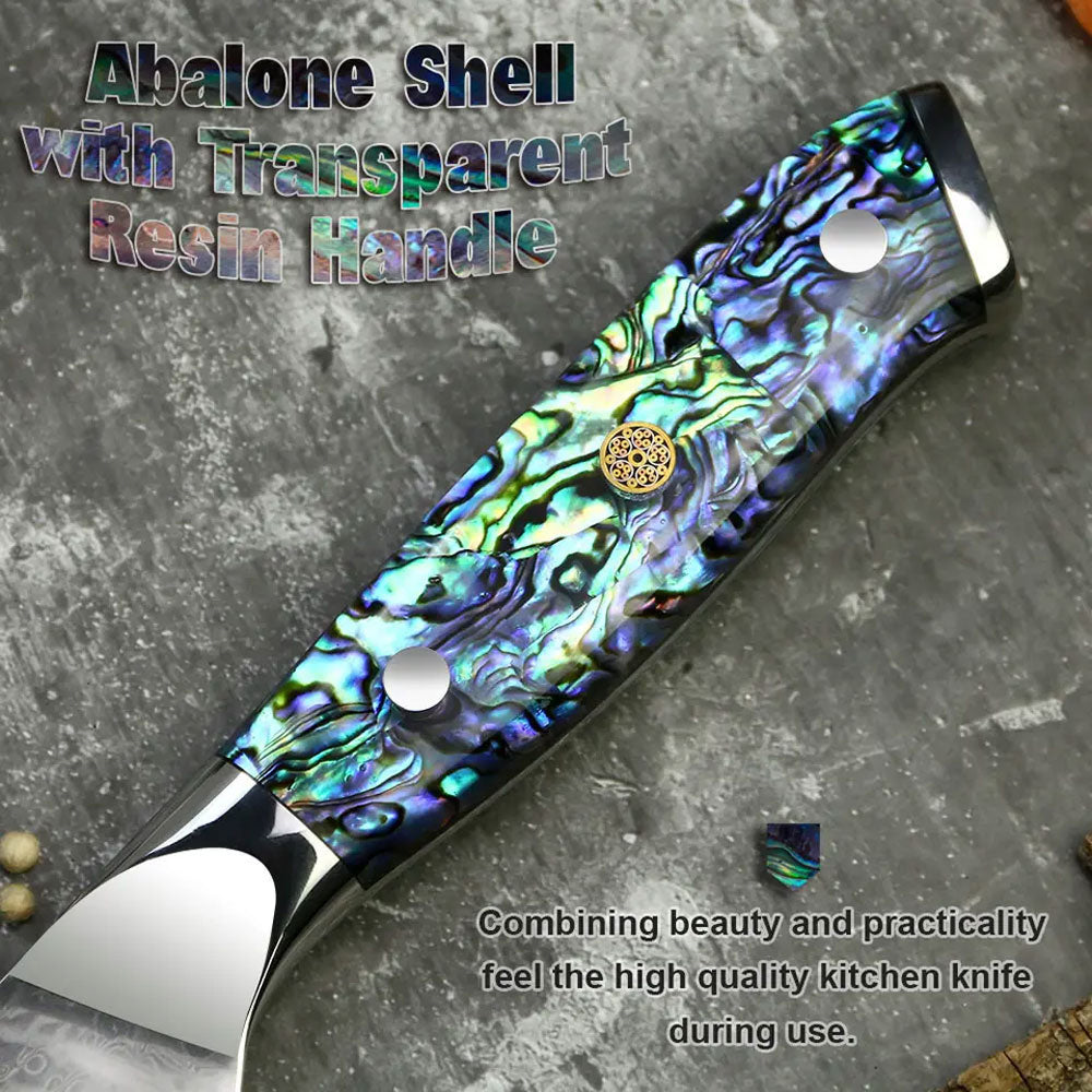 Professional Damascus Vg 10 Steel Core 67 Layers Stainless Steel Abalone Handle