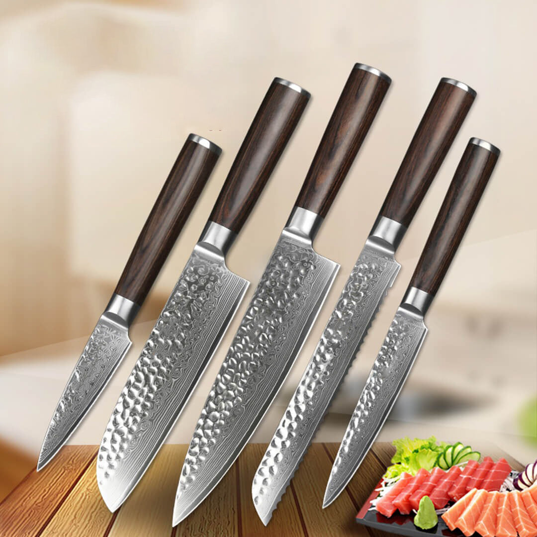 B1Z 5 Pcs Knife Set, 67 Layers Damascus Steel Having Nature Ebony Wood Handle