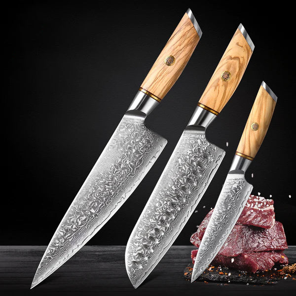 Blaze Series 3pcs Damascus Steel Knife Set Having Olive Wood Handle