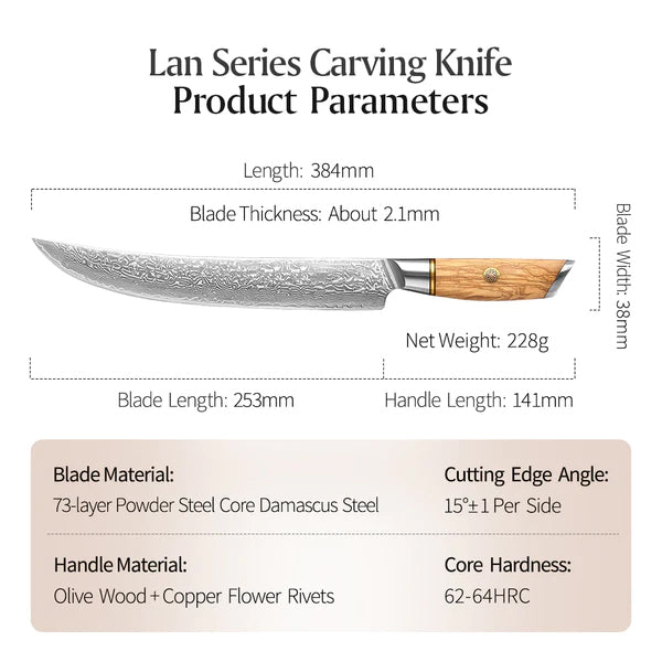 Blaze Series 10 Inch Damascus Steel Carving Knife