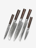 B1Z 5 Pcs Knife Set, 67 Layers Damascus Steel Having Nature Ebony Wood Handle