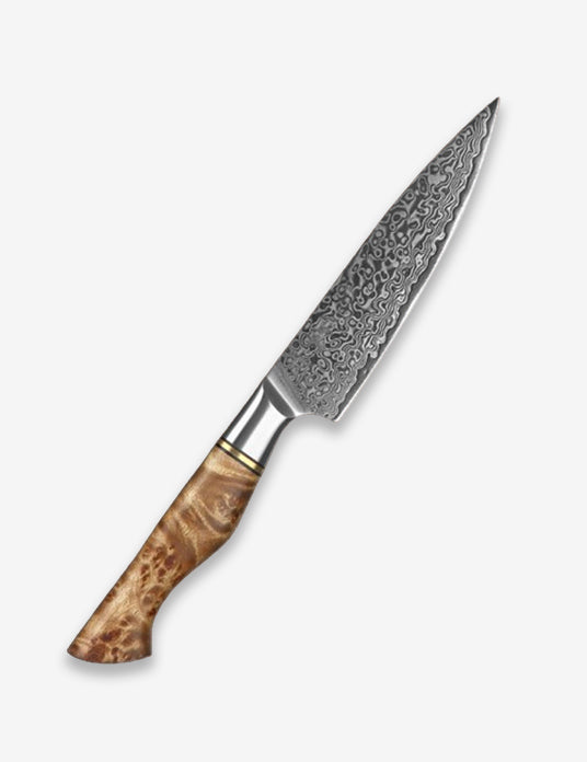 B30 3.5 Inch Paring Knife, 67 Layers Damascus Steel Having Figured Sycamore Wood Handle