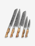 B30 5 Pcs Damascus Knife Set Having Figured Sycamore Wood Handle