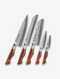 B30R 5pcs Knife Set, 73 layers Damascus steel with Powder Steel Having Nature Rosewood Handle