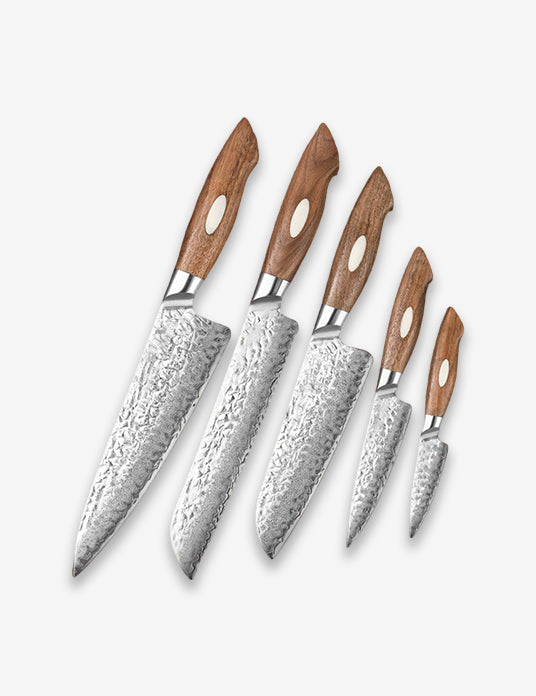 Black Wolf Series 5pcs Damascus Steel Chef, Bread,Santoku,Utility And Paring Knife