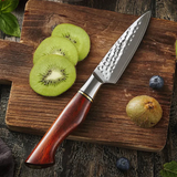 B30R 3.5 Inch Paring Knife, 73 Layers Damascus Steel With Powder Steel Having Nature Rosewood Handle