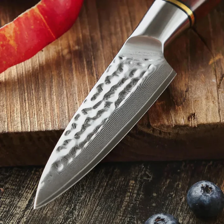 B30R 3.5 Inch Paring Knife, 73 Layers Damascus Steel With Powder Steel Having Nature Rosewood Handle