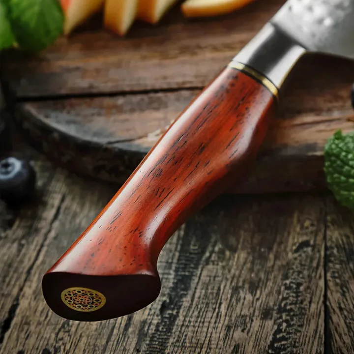 B30R 3.5 Inch Paring Knife, 73 Layers Damascus Steel With Powder Steel Having Nature Rosewood Handle