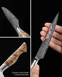 B30 5 Pcs Knife Set, 67 layers Damascus steel Having Figured Sycamore Wood Handle