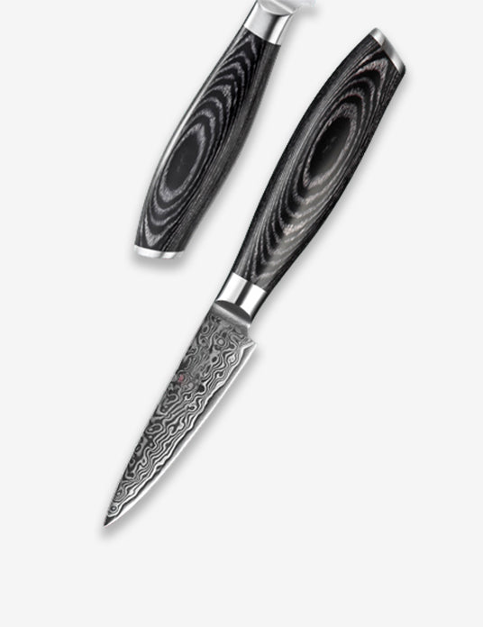 Benchmark Series 3.5 Inch Damascus Steel Paring Knife