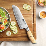 Blissful Edge Series 7 Inch Damascus Steel Santoku Knife