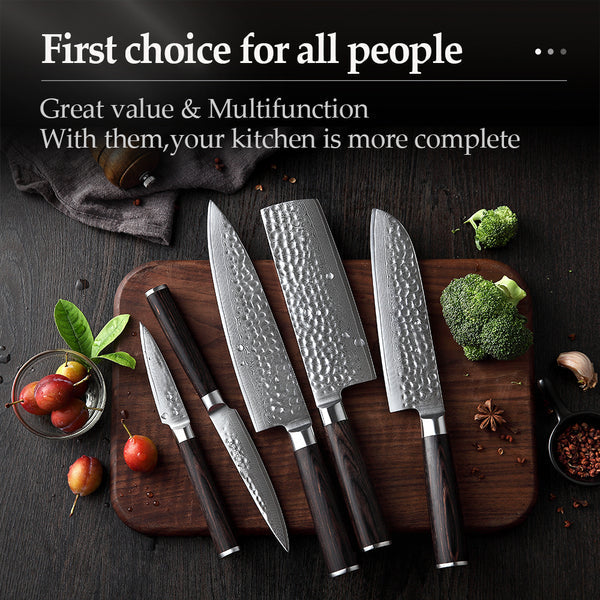 B1Z 6pcs Knife Set, 67 Layers Damascus steel Having Nature eBony Wood Handle