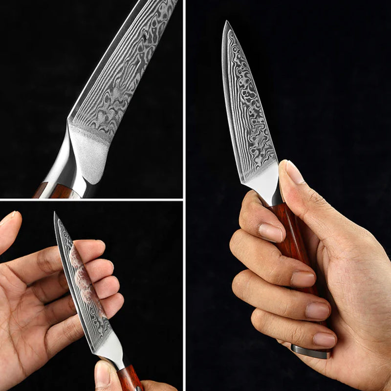 Bravo Series 3.5 Inch Damascus Steel Paring Knife