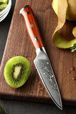 Bravo Series 3.5 Inch Damascus Steel Paring Knife