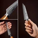 SRS13 5 Inch Utility Knife, Original Japan 49 Layers SRS13 Damascus Steel Having North America Desert Ironwood Handle