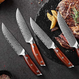 Blade Born Series 4pcs Damascus Steel Steak Knife Set