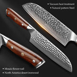 Bold Dynasty Series Damascus Steel Santoku Knife