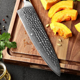 Bravo Series 10 Inch Damascus Steel Chef Knife With Desert Iron Wood Handle