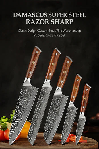 Bravo Series 5pcs Damascus Steel Knife Set With Desert Iron Wood Handle