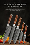 Bravo Series 5pcs Damascus Steel Knife Set With Desert Iron Wood Handle