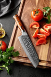 Bravo Series 7 Inch Dmascus Steel Santoku Knife