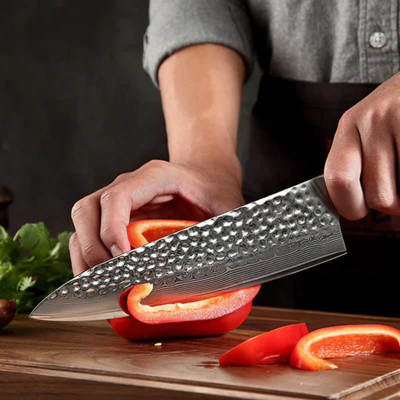 Bravo Series 8 Inch Damascus Steel Chef Knife