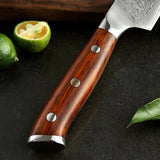 Bold Radiance Series 2pcs Damascus Knife Set with Triple Rivets Handle