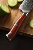 Bold Radiance Series 5 inch Damascus Steel Santoku Knife