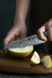 Bold Radiance Series 5 inch Damascus Steel Utility Knife