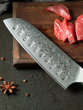 Bold Radiance Series 7 inch Damascus steel Santoku Knife