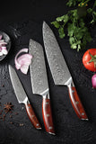 Blade Born Series 3pcs Damascus Steel Knife Set