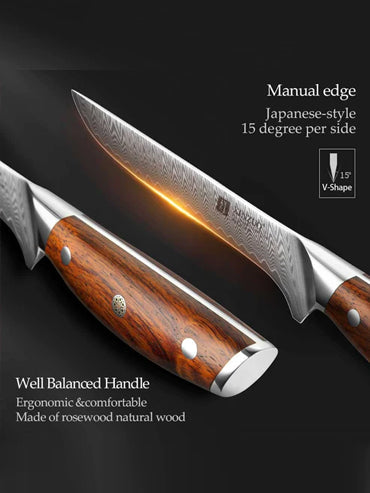 Blade Born Series 5.5 Inch Damascus Steel Boning Knife