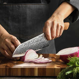 Black Wolf Series 8 Inch Damascus Steel Gyuto Knife