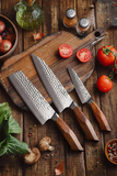 Baron Dragon Series 3 Pcs Damascus Steel Chef,Nakiri,Bunka Knife